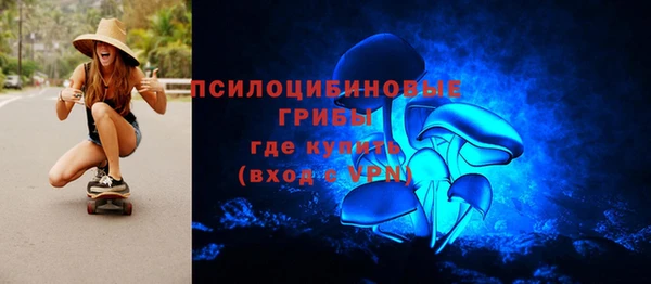 Альфа ПВП Белокуриха