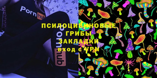 Альфа ПВП Белокуриха