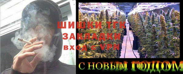дживик Балахна